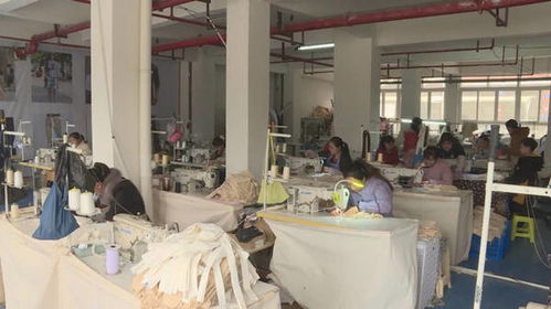 何世昌返乡创办艾森丝服饰，带领乡亲织就致富新画卷